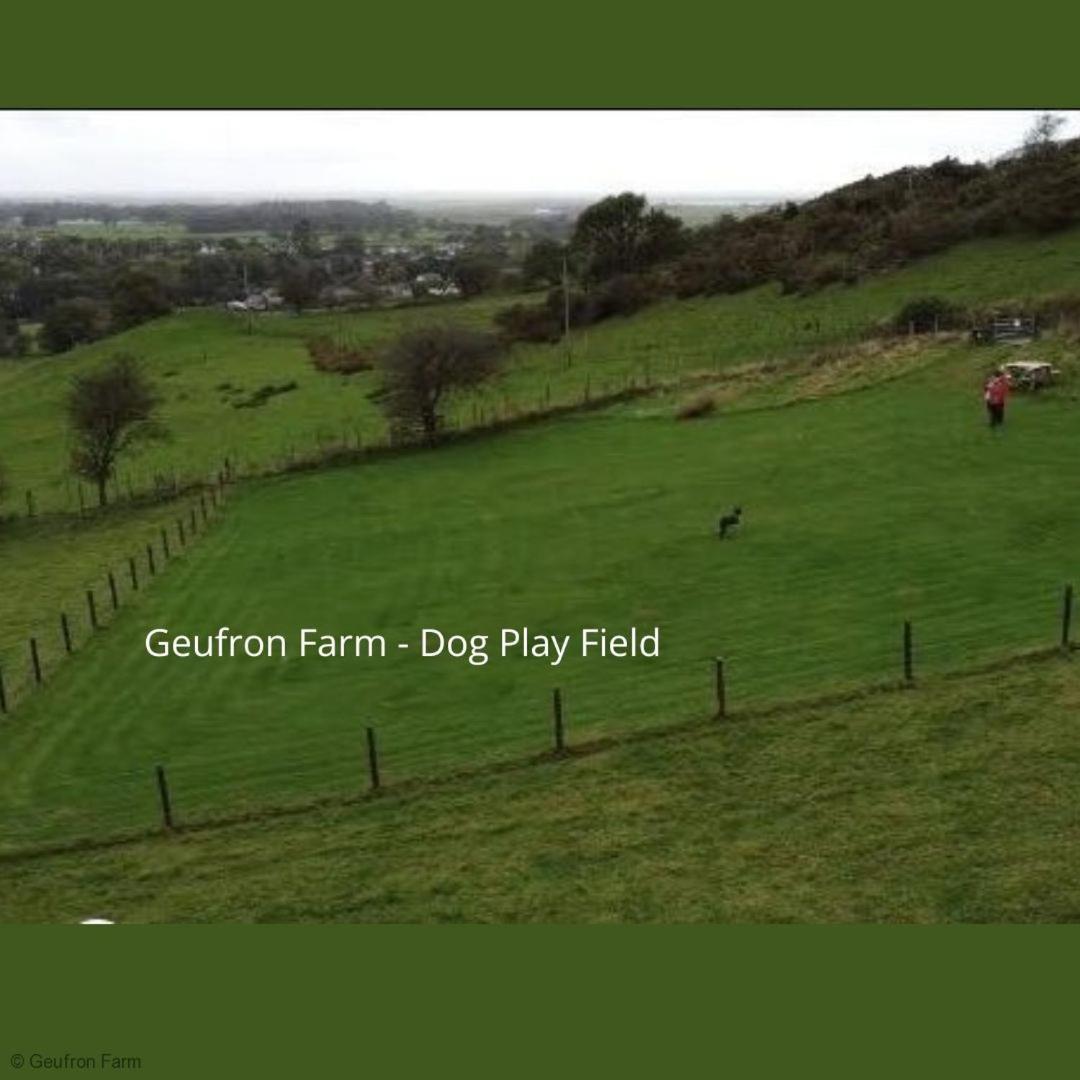 The Barn At Geufron Farm - Dog Friendly - Nr Tywyn Bryn-crug Exterior foto